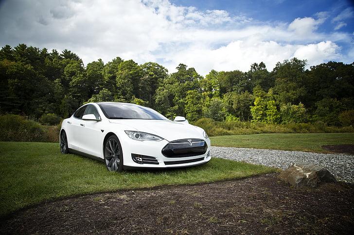 Which Tesla Car is Best For You