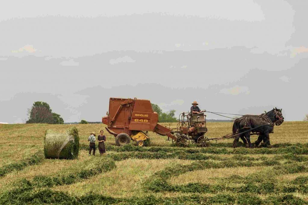 Shocking Stories of Amish People Who Left Their Community