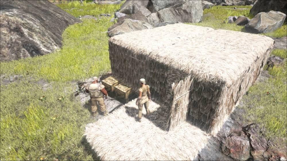 Ark Survival Tips